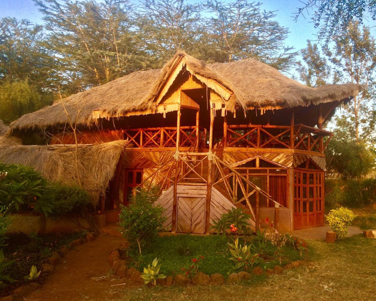 Eco Camp *