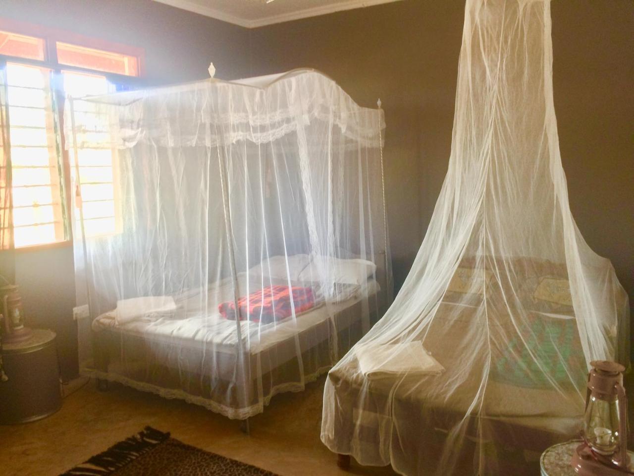 Eco Camp * Amboseli