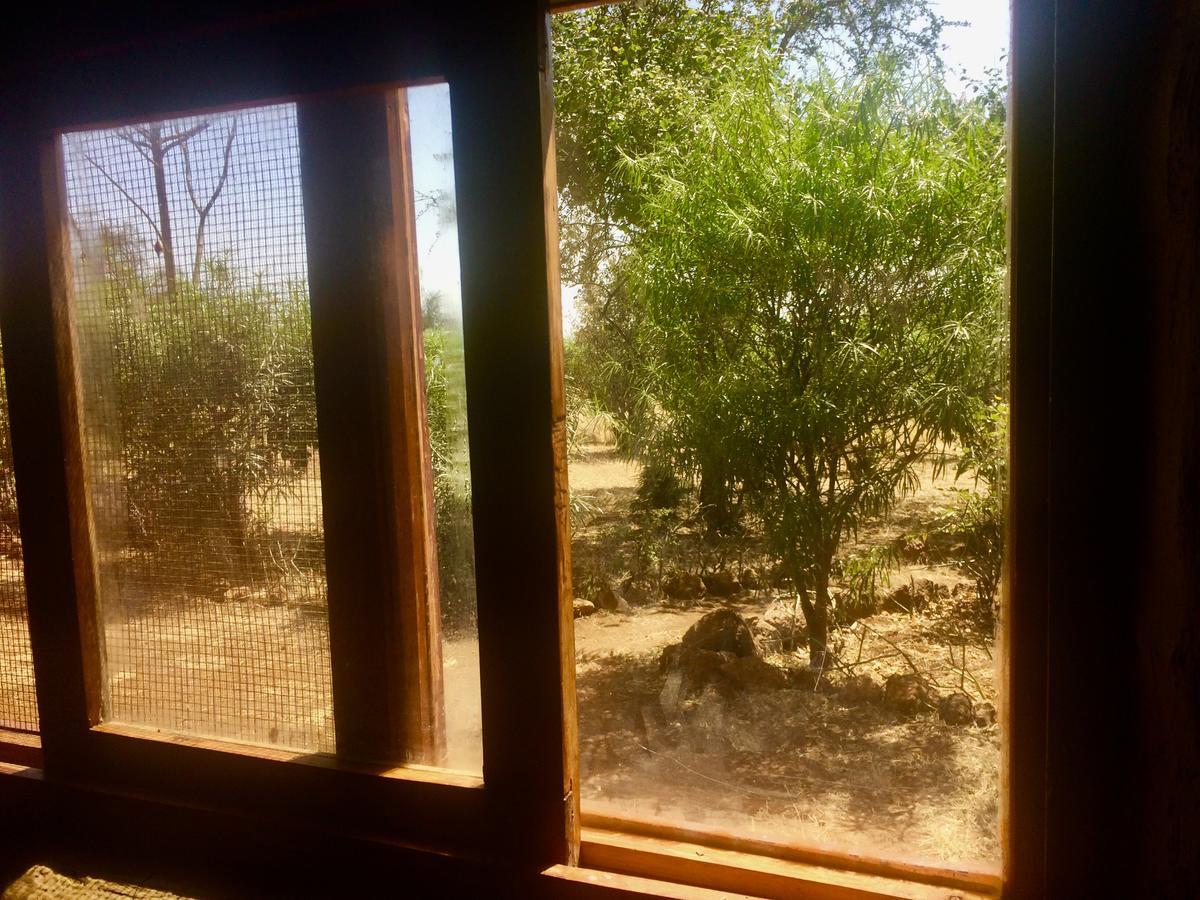 Eco Camp Lodge